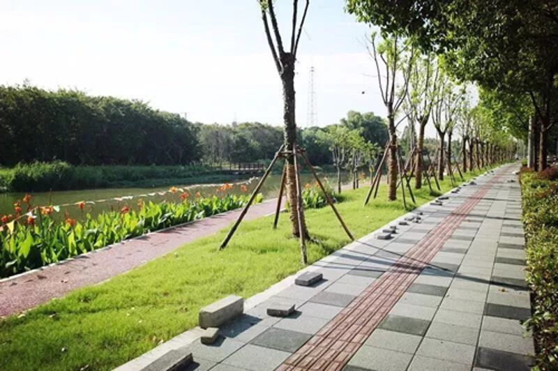 兰科博弈(RankBet)有限公司官网