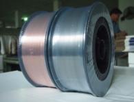 W020251125589505624843